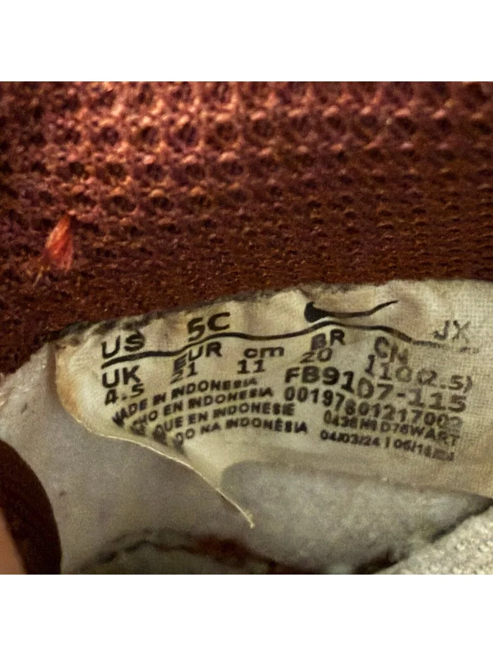 Nike toddler dunk